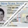 New York Driver License(NY O21 2020)