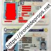Connecticut Driver License(New CT)