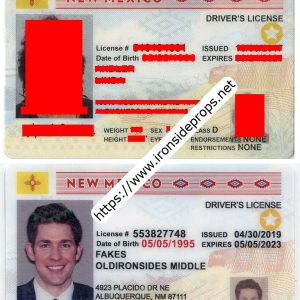 New Mexico Driver License (NM)