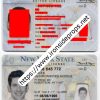 New York Driver License(NY O21 V3)