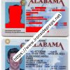 Alabama Driver License(AL)