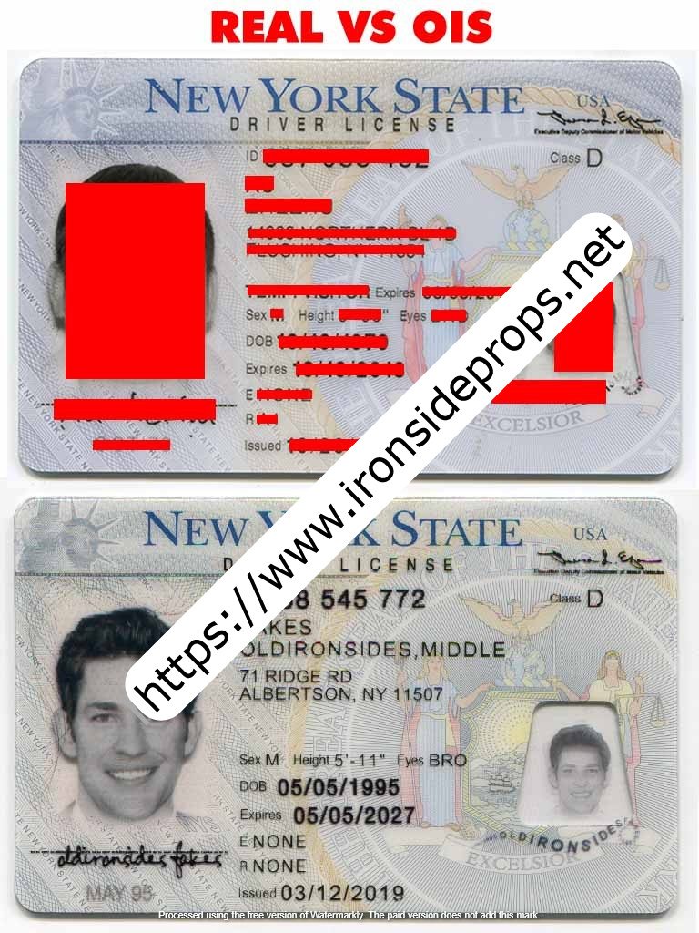 New York Driver License(NY O21 V3)
