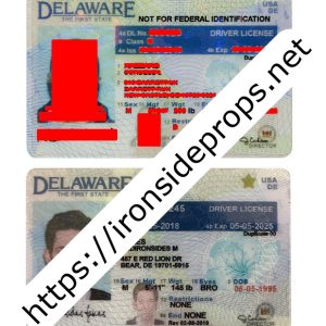 Delaware Driver License(Old DE)