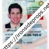 Florida Driver License(New FL U21 DRIVER V2)