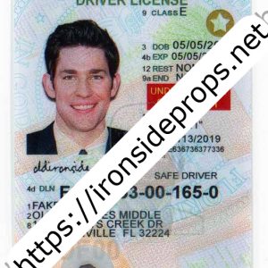 Florida Driver License(New FL U21 DRIVER V1)