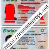 Florida Driver License(New FL O21 V1)