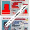 Illinois Driver License(New IL)