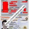 Indiana Driver License(New IN)
