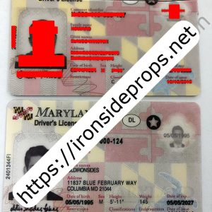 Maryland Driver License (New MD)
