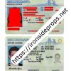 Michigan Driver License(MI)
