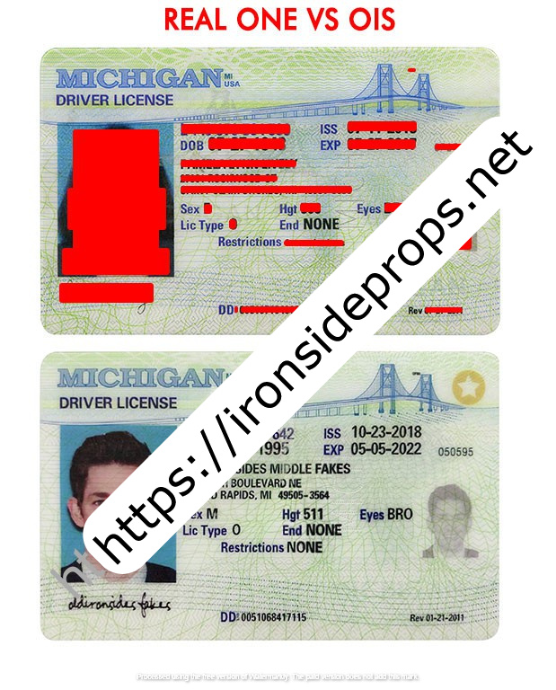 Michigan Driver License(MI)