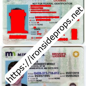 Minnesota Driver License (New MN)