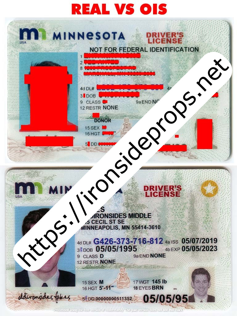 Minnesota Driver License (New MN)