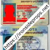 Minnesota Driver License (Old MN)