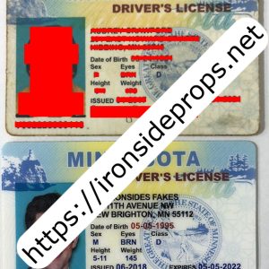 Minnesota Driver License (Old MN)