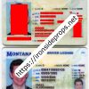 Montana Driver License (MT)