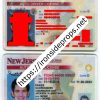 New Jersey Driver License (NJ)