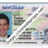 North Dakota Driver License(ND O21)