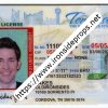 Tennessee Driver License(TN U21)