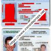 Washington Driver License(New WA)